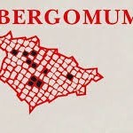 Bergomum