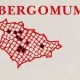 Bergomum