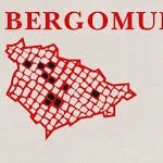 Bergomum