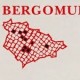 Bergomum