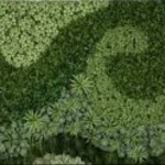 Green Wall
