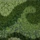 Green Wall
